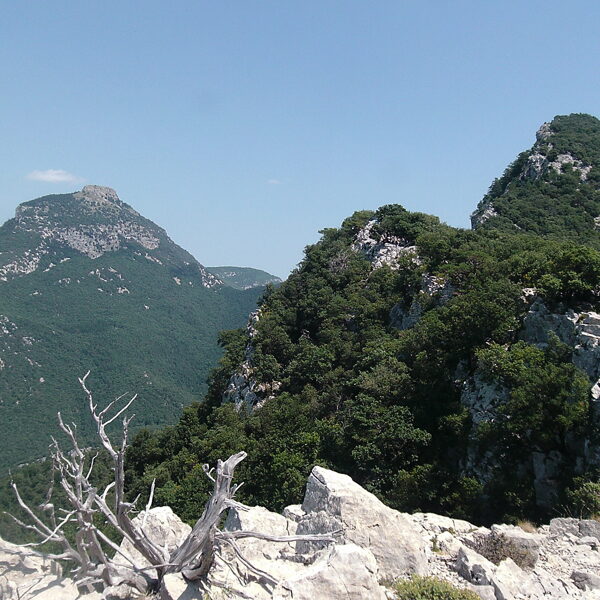 Vistes cap al Bassegoda i la serra